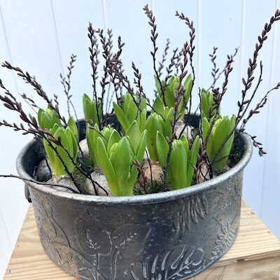 Hyacinth Embossed Planter – Medium